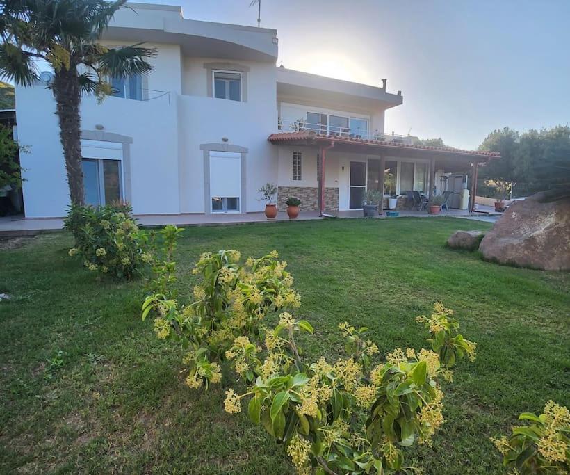 Kámpos Lux House With Gardenヴィラ エクステリア 写真